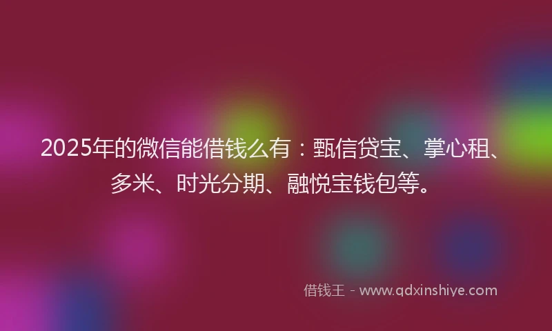 2025年的微信能借钱么有：甄信贷宝、掌心租、多米、时光分期、融悦宝钱包等。