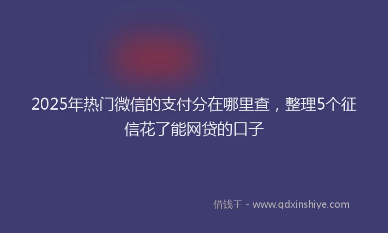 2025年热门微信的支付分在哪里查，整理5个征信花了能网贷的口子