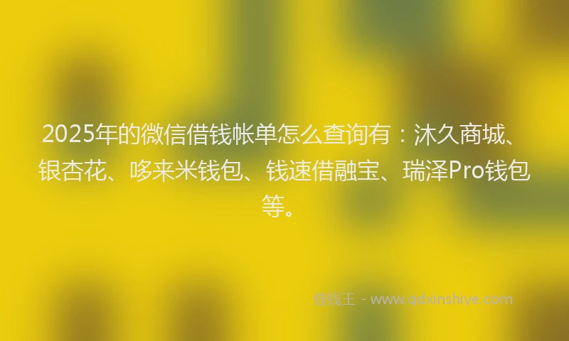 2025年的微信借钱帐单怎么查询有：沐久商城、银杏花、哆来米钱包、钱速借融宝、瑞泽Pro钱包等。