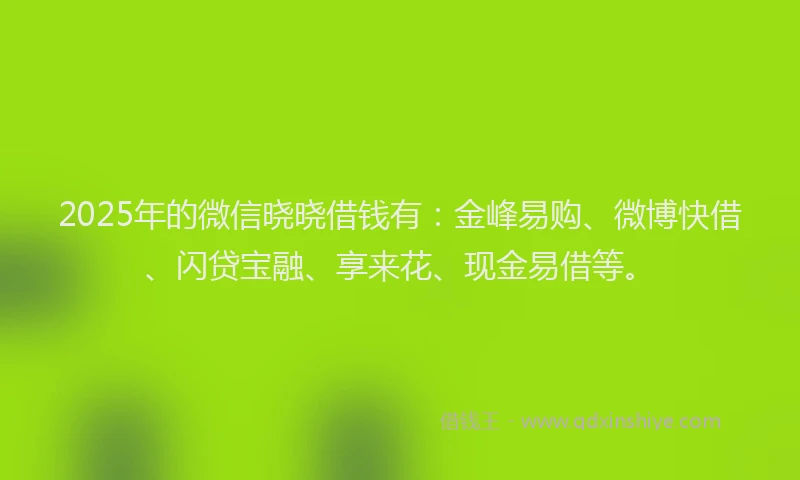 2025年的微信晓晓借钱有：金峰易购、微博快借、闪贷宝融、享来花、现金易借等。