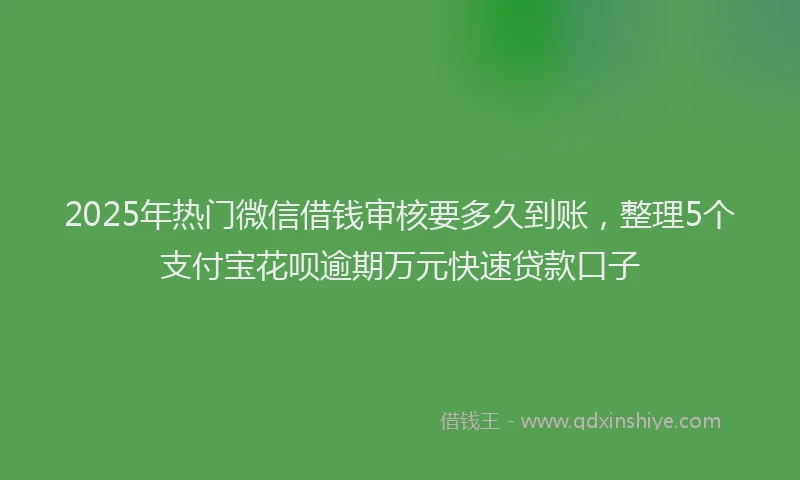 2025年热门微信借钱审核要多久到账，整理5个支付宝花呗逾期万元快速贷款口子