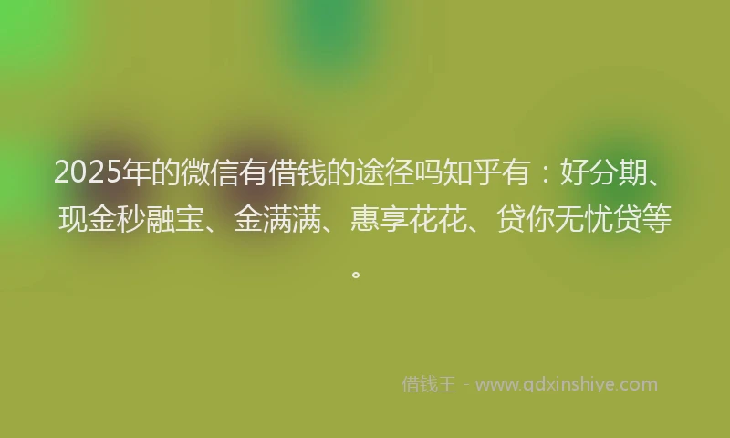 2025年的微信有借钱的途径吗知乎有：好分期、现金秒融宝、金满满、惠享花花、贷你无忧贷等。