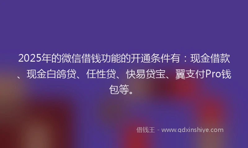 2025年的微信借钱功能的开通条件有：现金借款、现金白鸽贷、任性贷、快易贷宝、翼支付Pro钱包等。