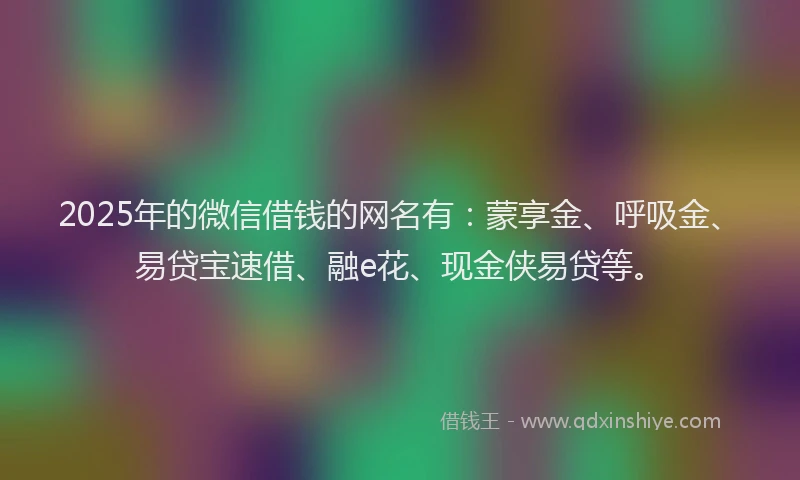 2025年的微信借钱的网名有：蒙享金、呼吸金、易贷宝速借、融e花、现金侠易贷等。