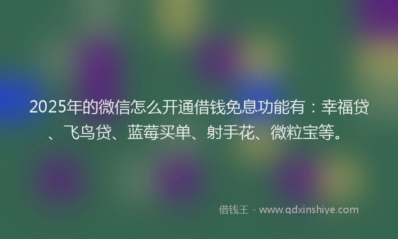 2025年的微信怎么开通借钱免息功能有：幸福贷、飞鸟贷、蓝莓买单、射手花、微粒宝等。