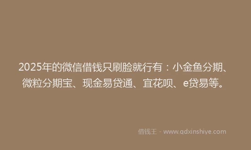 2025年的微信借钱只刷脸就行有：小金鱼分期、微粒分期宝、现金易贷通、宜花呗、e贷易等。