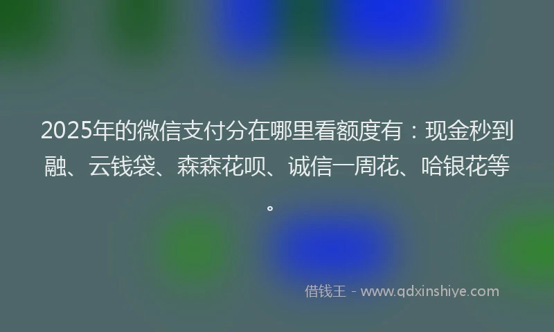 2025年的微信支付分在哪里看额度有：现金秒到融、云钱袋、森森花呗、诚信一周花、哈银花等。
