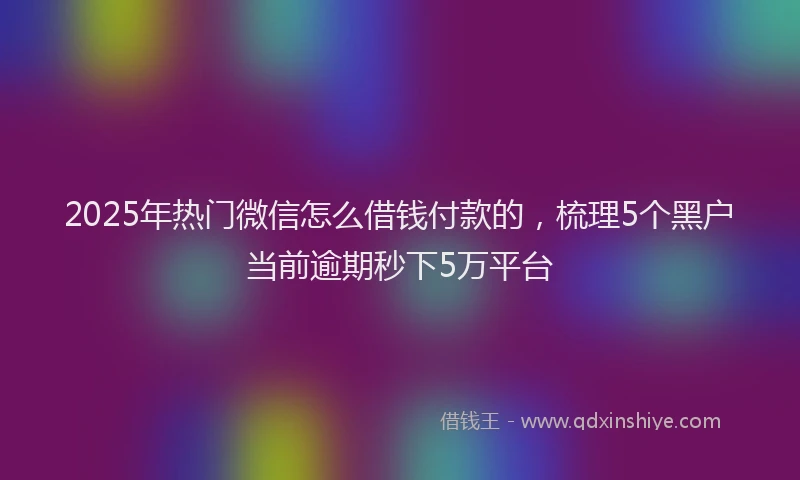 2025年热门微信怎么借钱付款的，梳理5个黑户当前逾期秒下5万平台