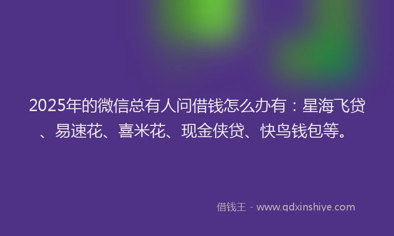 2025年的微信总有人问借钱怎么办有：星海飞贷、易速花、喜米花、现金侠贷、快鸟钱包等。