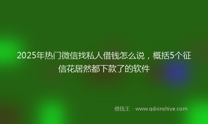 2025年热门微信找私人借钱怎么说，概括5个征信花居然都下款了的软件