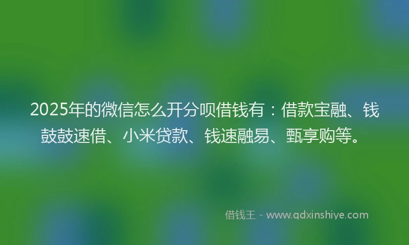 2025年的微信怎么开分呗借钱有：借款宝融、钱鼓鼓速借、小米贷款、钱速融易、甄享购等。