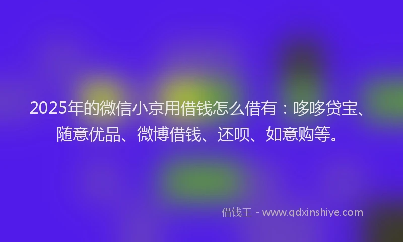 2025年的微信小京用借钱怎么借有：哆哆贷宝、随意优品、微博借钱、还呗、如意购等。