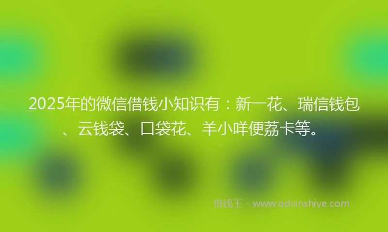 2025年的微信借钱小知识有：新一花、瑞信钱包、云钱袋、口袋花、羊小咩便荔卡等。