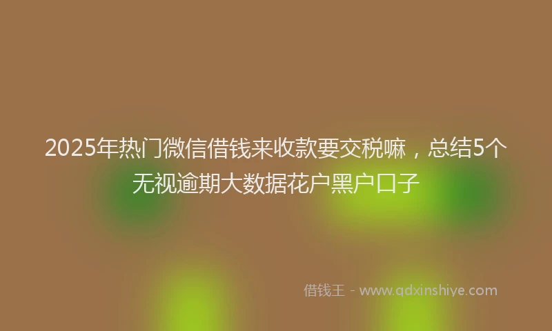 2025年热门微信借钱来收款要交税嘛，总结5个无视逾期大数据花户黑户口子