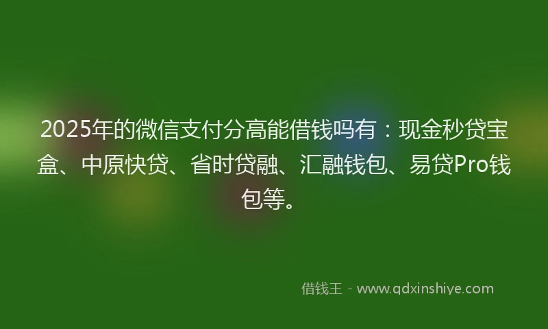 2025年的微信支付分高能借钱吗有：现金秒贷宝盒、中原快贷、省时贷融、汇融钱包、易贷Pro钱包等。