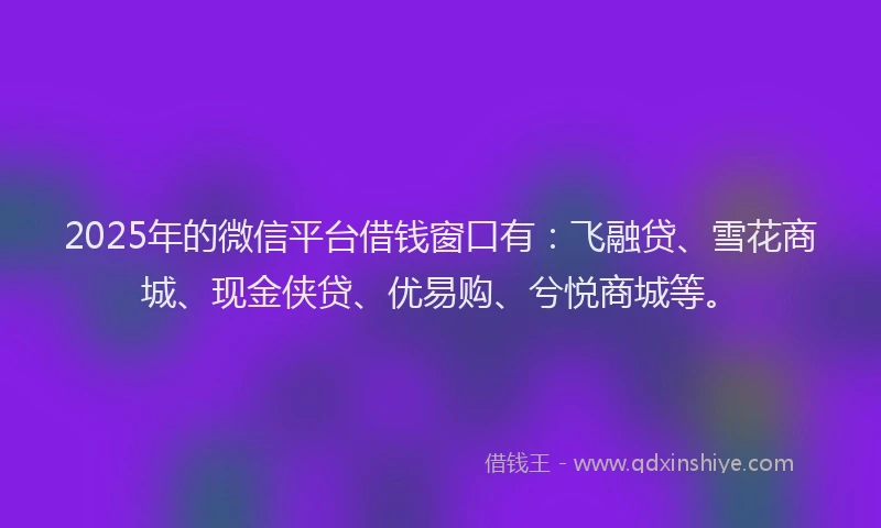 2025年的微信平台借钱窗口有：飞融贷、雪花商城、现金侠贷、优易购、兮悦商城等。