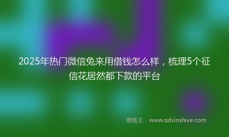 2025年热门微信兔来用借钱怎么样，梳理5个征信花居然都下款的平台