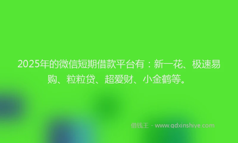 2025年的微信短期借款平台有：新一花、极速易购、粒粒贷、超爱财、小金鹤等。
