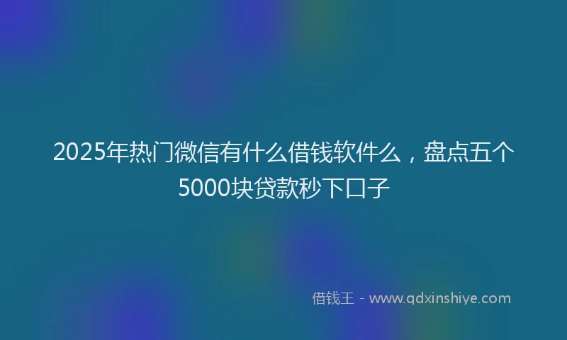 2025年热门微信有什么借钱软件么，盘点五个5000块贷款秒下口子