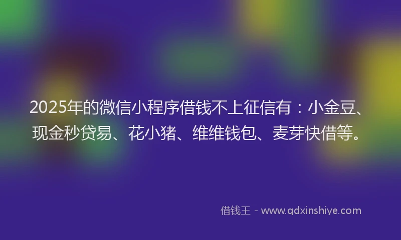 2025年的微信小程序借钱不上征信有：小金豆、现金秒贷易、花小猪、维维钱包、麦芽快借等。