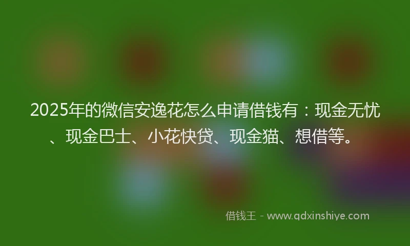 2025年的微信安逸花怎么申请借钱有：现金无忧、现金巴士、小花快贷、现金猫、想借等。
