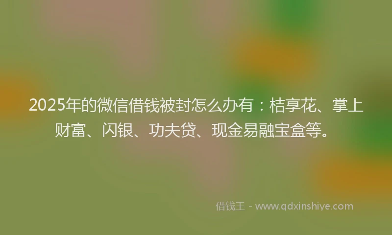 2025年的微信借钱被封怎么办有：桔享花、掌上财富、闪银、功夫贷、现金易融宝盒等。