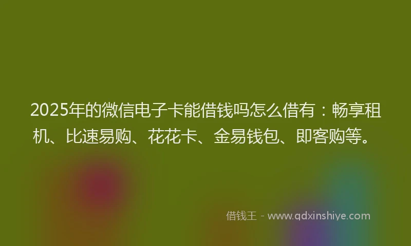 2025年的微信电子卡能借钱吗怎么借有：畅享租机、比速易购、花花卡、金易钱包、即客购等。