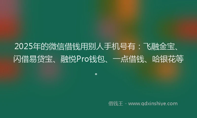 2025年的微信借钱用别人手机号有：飞融金宝、闪借易贷宝、融悦Pro钱包、一点借钱、哈银花等。