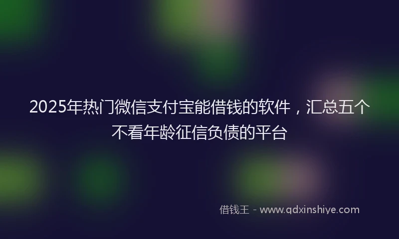 2025年热门微信支付宝能借钱的软件，汇总五个不看年龄征信负债的平台