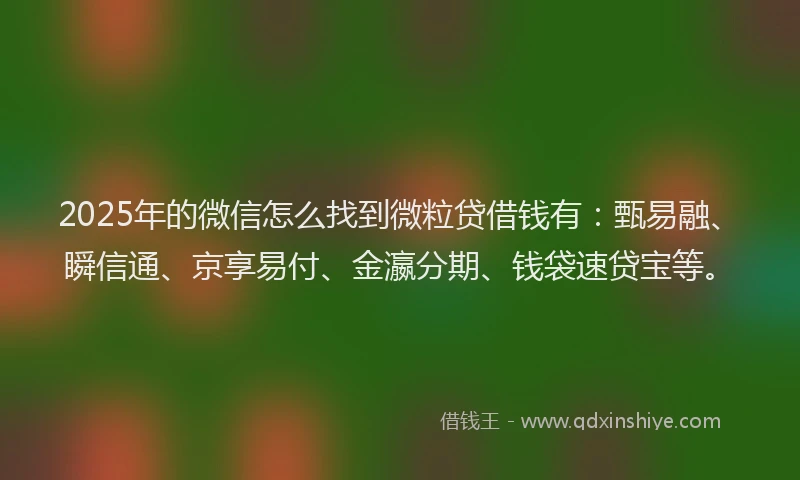 2025年的微信怎么找到微粒贷借钱有：甄易融、瞬信通、京享易付、金瀛分期、钱袋速贷宝等。