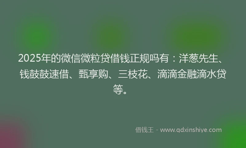 2025年的微信微粒贷借钱正规吗有：洋葱先生、钱鼓鼓速借、甄享购、三枝花、滴滴金融滴水贷等。
