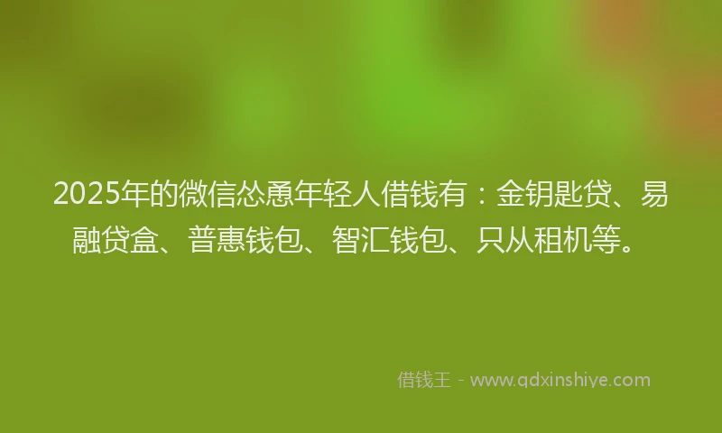 2025年的微信怂恿年轻人借钱有：金钥匙贷、易融贷盒、普惠钱包、智汇钱包、只从租机等。