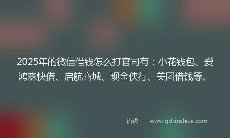 2025年的微信借钱怎么打官司有：小花钱包、爱鸿森快借、启航商城、现金侠行、美团借钱等。
