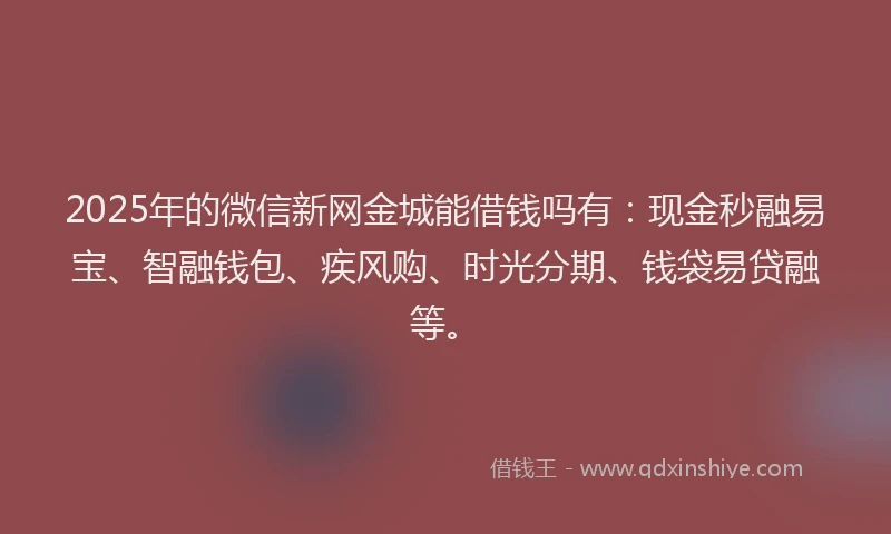 2025年的微信新网金城能借钱吗有：现金秒融易宝、智融钱包、疾风购、时光分期、钱袋易贷融等。