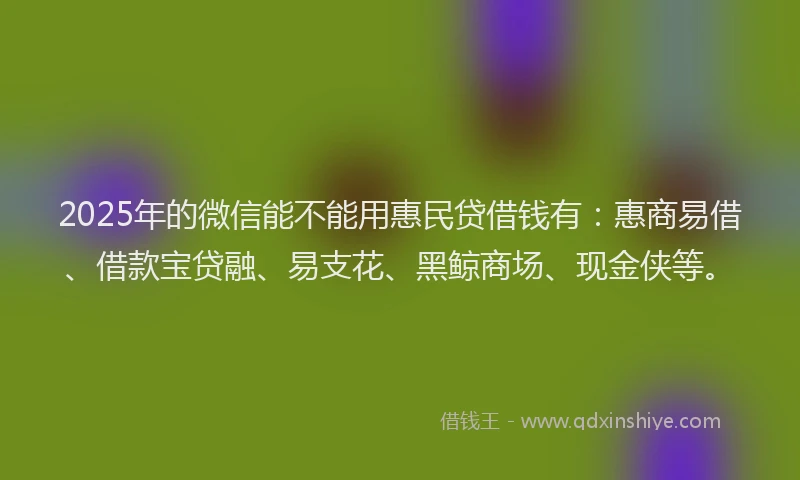 2025年的微信能不能用惠民贷借钱有：惠商易借、借款宝贷融、易支花、黑鲸商场、现金侠等。