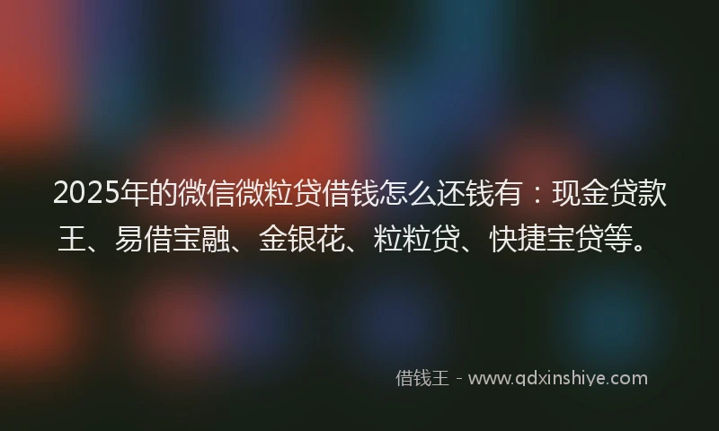 2025年的微信微粒贷借钱怎么还钱有：现金贷款王、易借宝融、金银花、粒粒贷、快捷宝贷等。