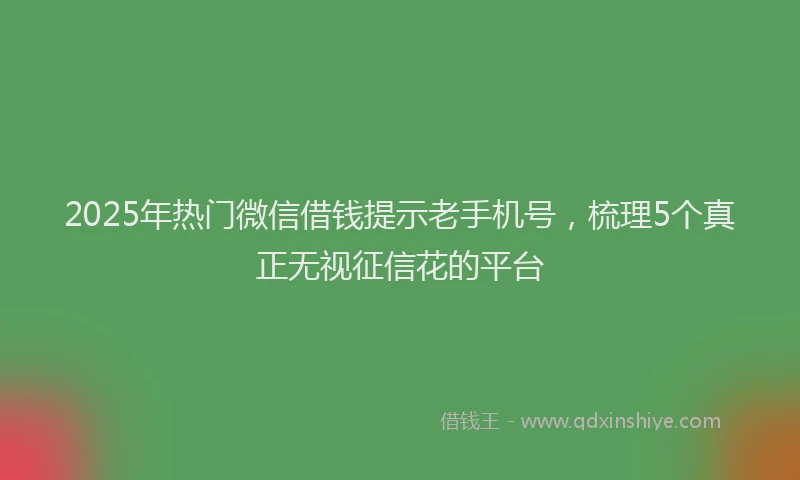 2025年热门微信借钱提示老手机号，梳理5个真正无视征信花的平台