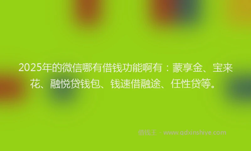 2025年的微信哪有借钱功能啊有：蒙享金、宝来花、融悦贷钱包、钱速借融途、任性贷等。