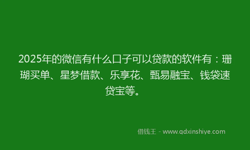 2025年的微信有什么口子可以贷款的软件有：珊瑚买单、星梦借款、乐享花、甄易融宝、钱袋速贷宝等。