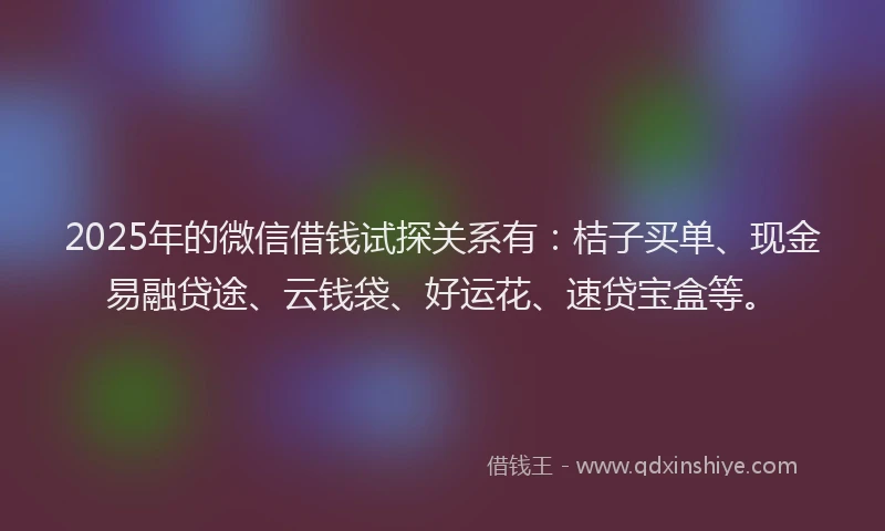 2025年的微信借钱试探关系有：桔子买单、现金易融贷途、云钱袋、好运花、速贷宝盒等。
