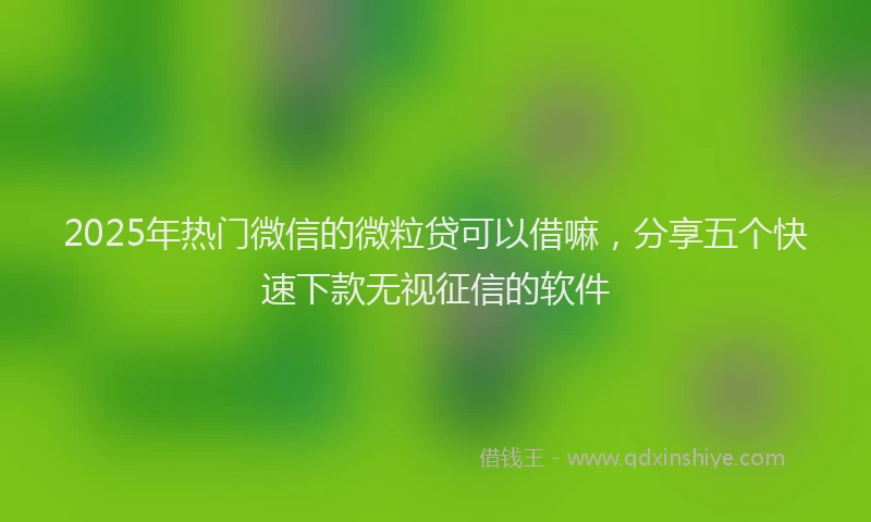 2025年热门微信的微粒贷可以借嘛，分享五个快速下款无视征信的软件