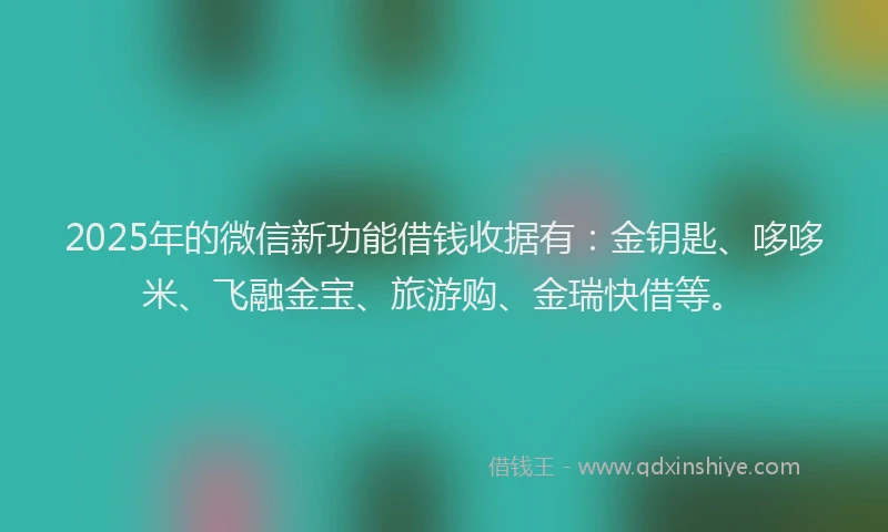 2025年的微信新功能借钱收据有：金钥匙、哆哆米、飞融金宝、旅游购、金瑞快借等。