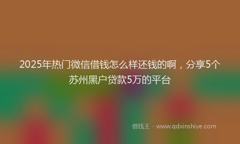 2025年热门微信借钱怎么样还钱的啊，分享5个苏州黑户贷款5万的平台