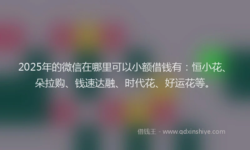 2025年的微信在哪里可以小额借钱有：恒小花、朵拉购、钱速达融、时代花、好运花等。