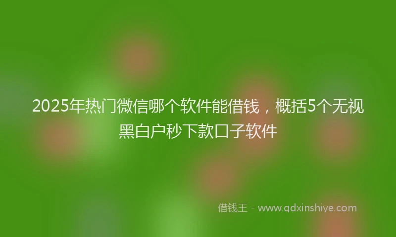 2025年热门微信哪个软件能借钱，概括5个无视黑白户秒下款口子软件