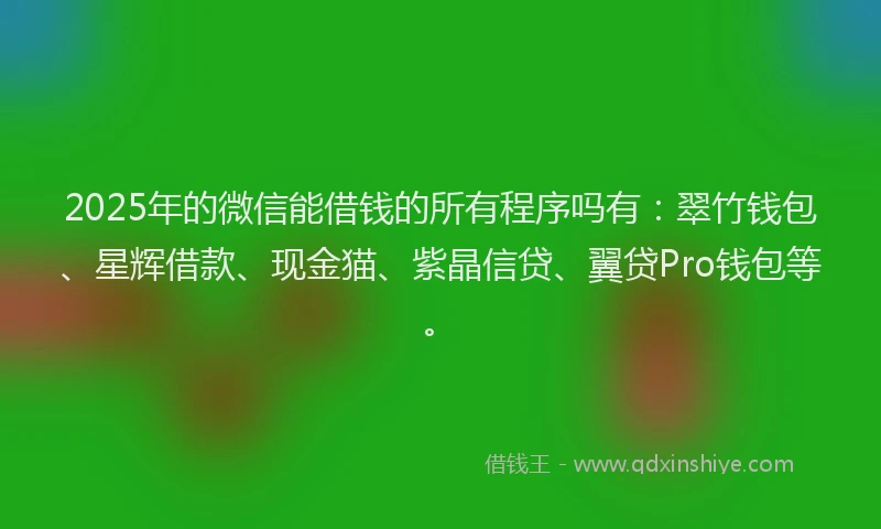 2025年的微信能借钱的所有程序吗有：翠竹钱包、星辉借款、现金猫、紫晶信贷、翼贷Pro钱包等。