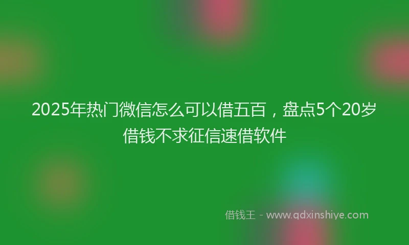 2025年热门微信怎么可以借五百，盘点5个20岁借钱不求征信速借软件