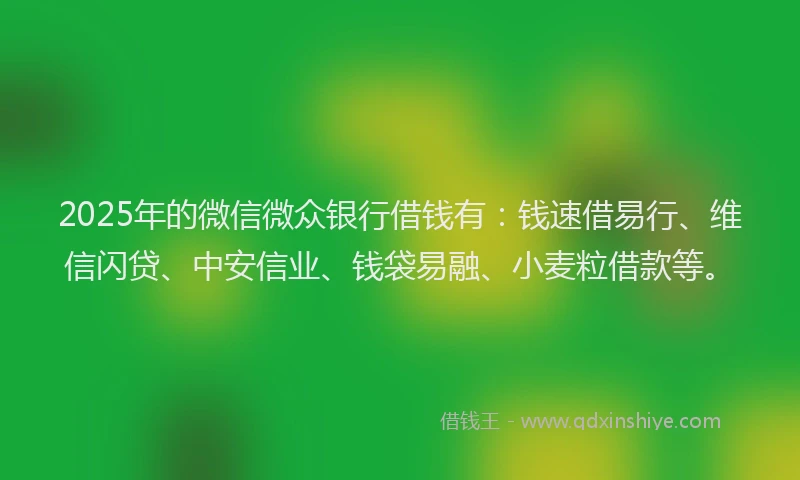 2025年的微信微众银行借钱有：钱速借易行、维信闪贷、中安信业、钱袋易融、小麦粒借款等。