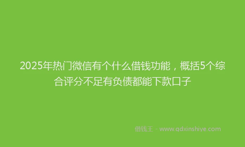 2025年热门微信有个什么借钱功能，概括5个综合评分不足有负债都能下款口子