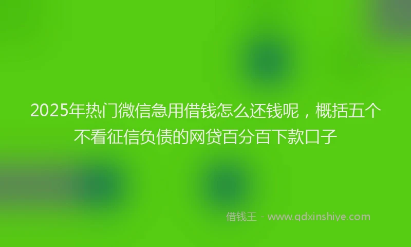 2025年热门微信急用借钱怎么还钱呢，概括五个不看征信负债的网贷百分百下款口子